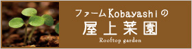 小林さんの屋上菜園