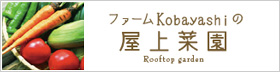 ファームkobayashiの屋上菜園