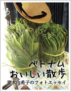 ベトナムおいしい散歩